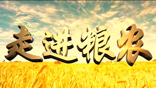 4分鐘，閱讀奮斗崛起中的糧農(nóng)集團(tuán)！