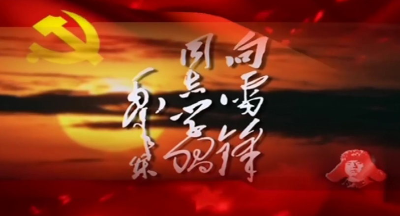   “學(xué)雷鋒，在行動(dòng)”——陜儲(chǔ)糧集團(tuán)華州庫學(xué)雷鋒青年說