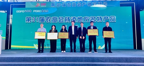 油脂集團：“西瑞漢中基地小榨濃香菜籽油”榮獲第31屆農高會“楊凌地方名特產品獎”